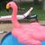 Regina Boldish's profile image