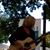 Linn Roll's profile image