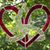 Kerry Anne Benson Patton's profile image