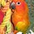 Kim Brown's profile image