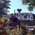 Kree Shawn Mercado's profile image