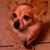 Edith Leonard's profile image