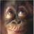 Lori Johnson's profile image