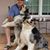 John Schick's profile image