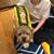 Kirsty Sunny Claffey Peters's profile image