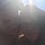 Sean P. Cooney's profile image