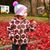 Kate Roell Gomes's profile image