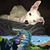 Rebecca Perry's profile image