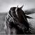 Lori Settlemoir's profile image