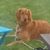 Denise Brewer's profile image