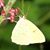 Debi Daugherty's profile image