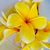 Marie Prall Alston's profile image