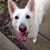 Tina Kerr-Wheeler's profile image