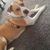 Tiffany Neumann Watercutter's profile image