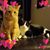 Rebecca Rahe's profile image