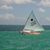 Cyndi Paxton's profile image