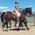 Jessie Harrington's profile image
