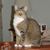 Susan Hans Hoelderlin's profile image