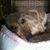 Shelly Senter's profile image