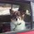 Juli Schlack's profile image
