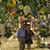 Donna Carroll Wilson's profile image