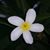 Robert Walker Lanter's profile image