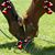 Debbie Corey's profile image