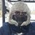 Justin Allen Haynes's profile image