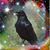 Cheryl Grimm's profile image