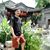 史雅波's profile image