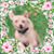 Mark Drury's profile image