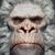 Chad Mcmonkey's profile image