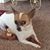 Sharon K Vollrath's profile image