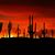 Sandy Brown's profile image