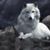 Lynda Sherington's profile image