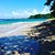 Keskim Shillingford's profile image