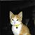 Kathy Maggio Peach's profile image
