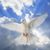 Gail Hitt's profile image