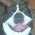 John Cammarota's profile image