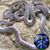 Greg Wiens's profile image