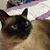 Jody Crawford Kilgore's profile image