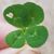 Linda Danley Hyer's profile image