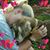 Tina Edwards's profile image