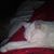 Michelle Morrell's profile image