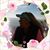 Stacey Greer Malone's profile image