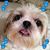 Arlene Garrison Mayberry's profile image