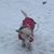 Lynn Diane Ahlgren Powell's profile image