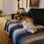 Michele Eskridge's profile image