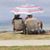 Debra Lim's profile image