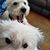Terrie Doty's profile image